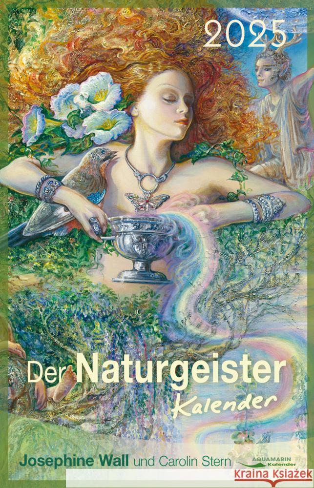 Der Naturgeister-Kalender 2025 Stern, Carolin 9783894279394 Aquamarin