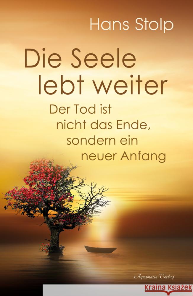 Die Seele lebt weiter - Der Tod ist nicht das Ende, sondern ein neuer Anfang Stolp, Hans 9783894279608 Aquamarin