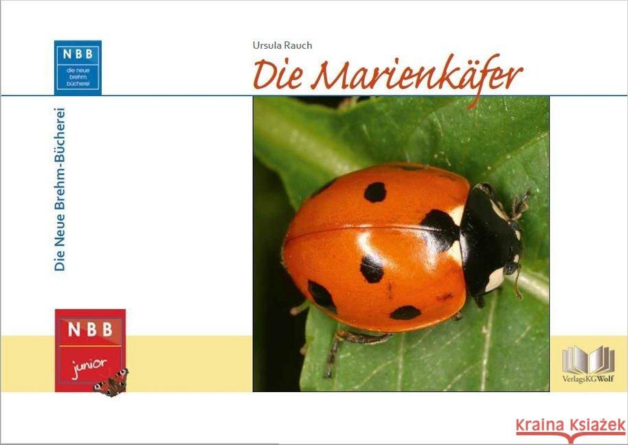 Die Marienkäfer Rauch, Ursula 9783894322786