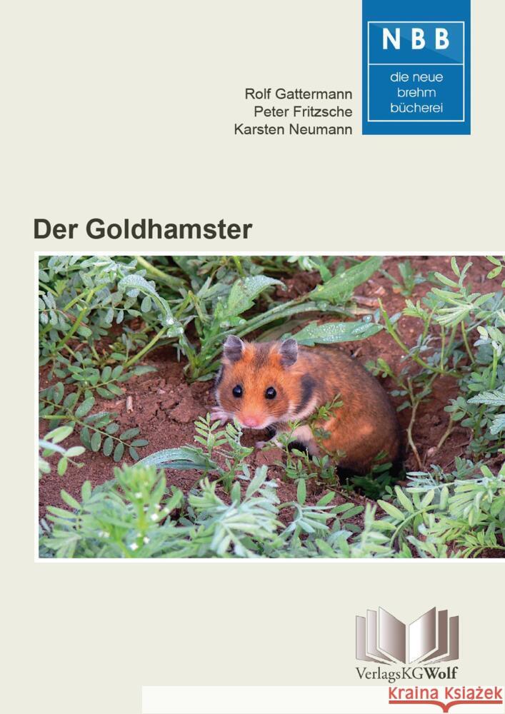 Der Goldhamster Gattermann, Rolf, Fritzsche, Peter, Neumann, Karsten 9783894322823 VerlagsKG Wolf