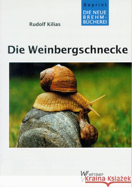Die Weinbergschnecke : Über Leben und Nutzung von Helix pomatia Kilias, Rudolf   9783894323202 Westarp Wissenschaften