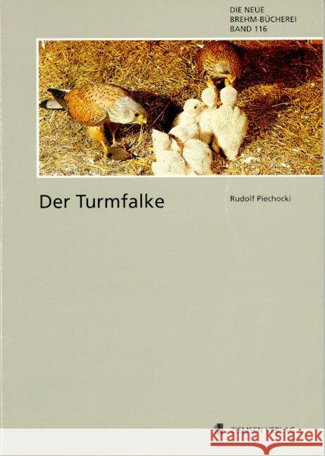 Der Turmfalke Piechocki, Rudolf   9783894323769 Westarp Wissenschaften