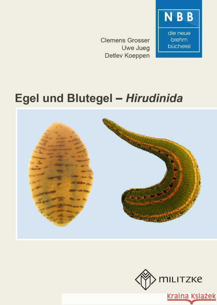 Egel und Blutegel Grosser, Clemens, Jueg, Uwe, Dr. Koeppen, Detlev 9783894324032 Militzke