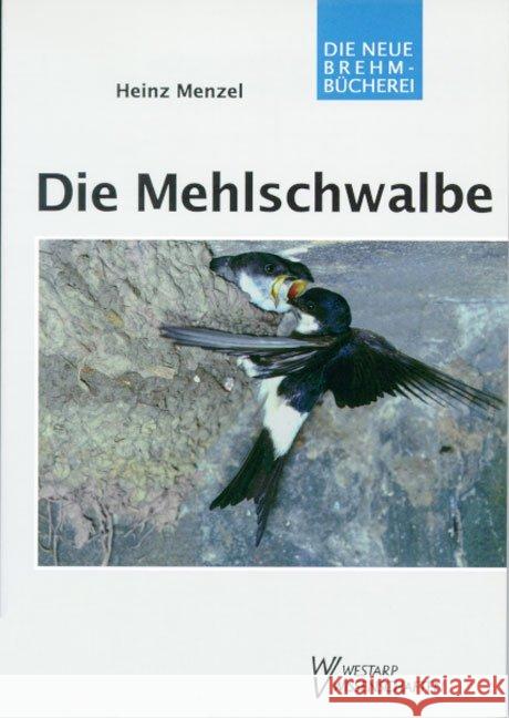 Die Mehlschwalbe : Delichon urbica Menzel, Heinz   9783894324964 Westarp Wissenschaften