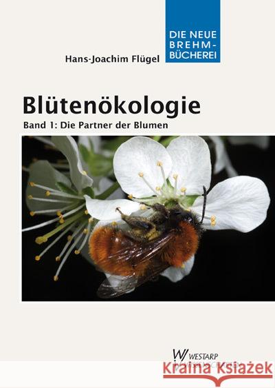 Blütenökologie. Bd.1 : Die Partner der Blumen. Blühende Beziehungen in unserer Mitwelt Flügel, Hans-Joachim 9783894325329 Westarp Wissenschaften