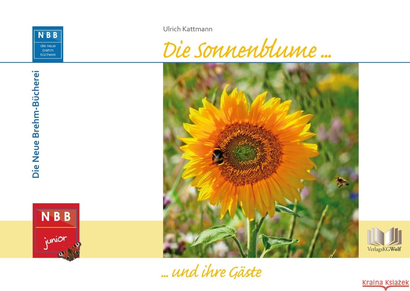 Die Sonnenblume und ihre Gäste Kattmann, Ulrich 9783894326647 VerlagsKG Wolf