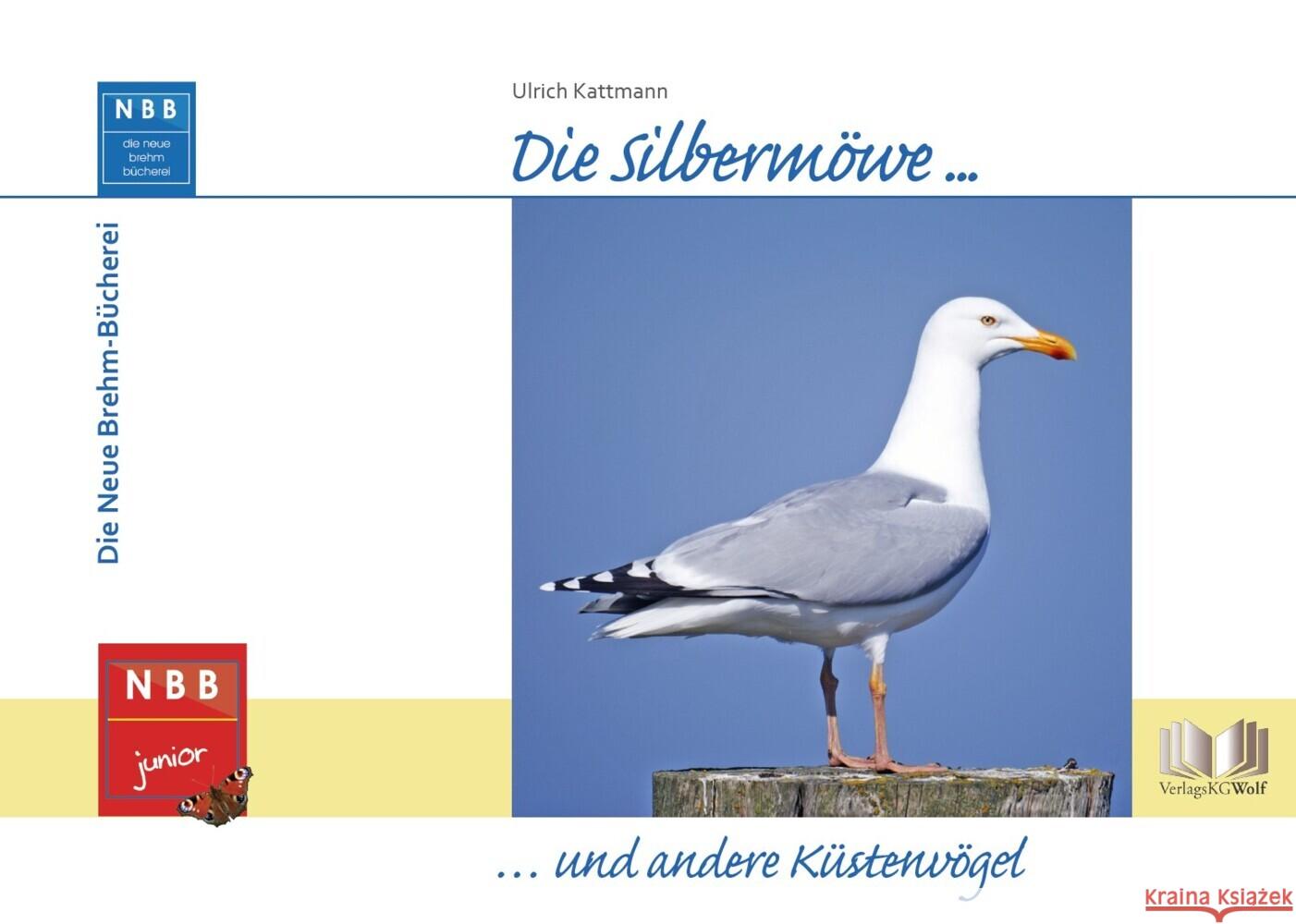 Die Silbermöwe und andere Küstenvögel Kattmann, Ulrich 9783894328658