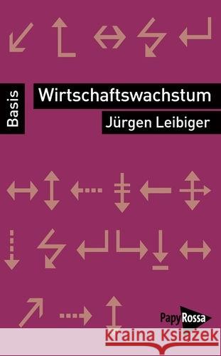 Wirtschaftswachstum Leibiger, Jürgen 9783894386078 PapyRossa Verlagsges.