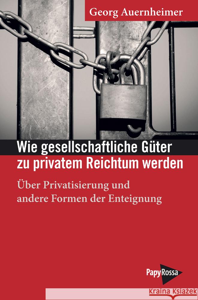 Wie gesellschaftliche Güter zu privatem Reichtum werden Auernheimer, Georg 9783894387525 PapyRossa Verlagsges.