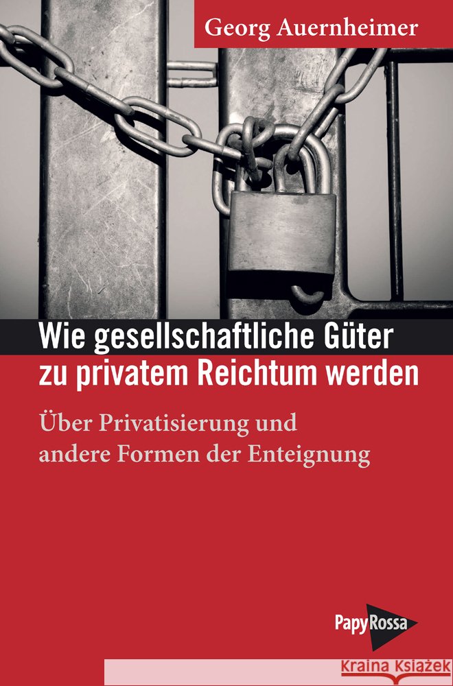Wie gesellschaftliche Güter zu privatem Reichtum werden Auernheimer, Georg 9783894387525