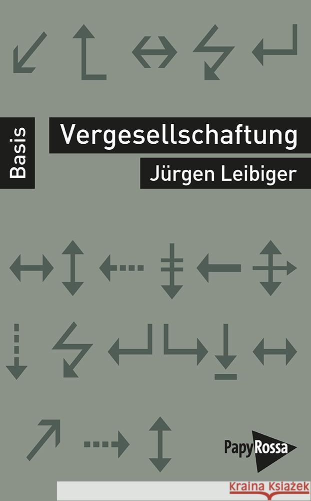 Vergesellschaftung Leibiger, Jürgen 9783894388485 PapyRossa Verlagsges.