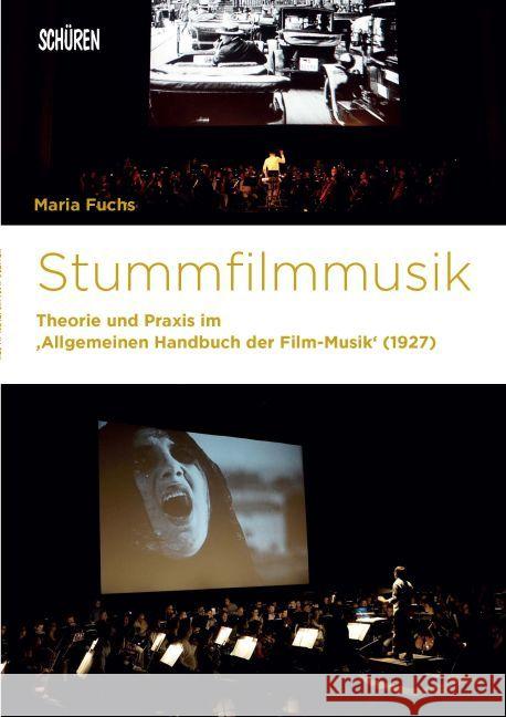 Stummfilmmusik : Theorie und Praxis im 