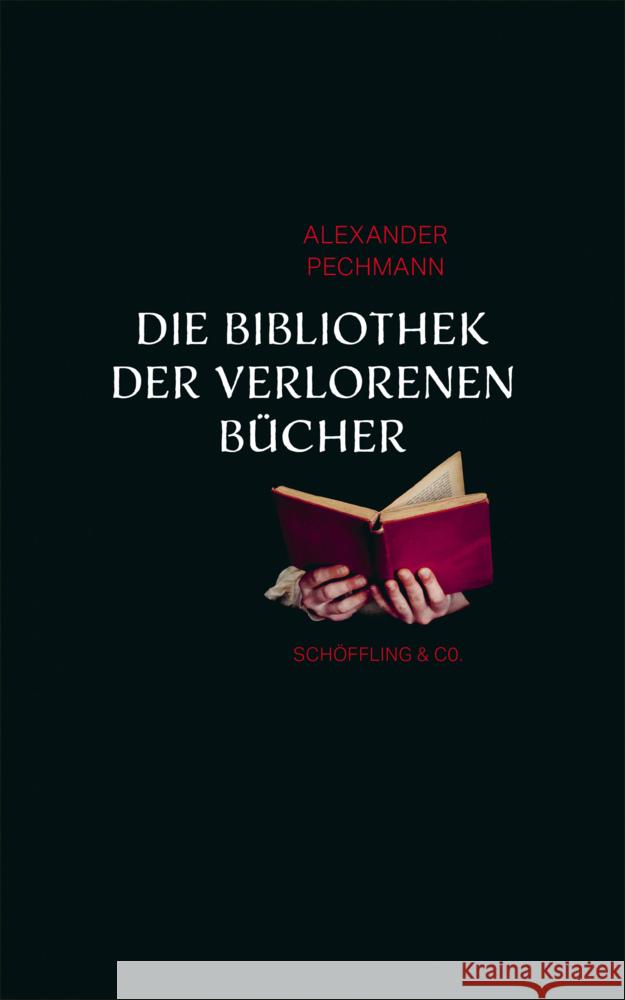 Die Bibliothek der verlorenen Bücher Pechmann, Alexander 9783895610677 Schöffling