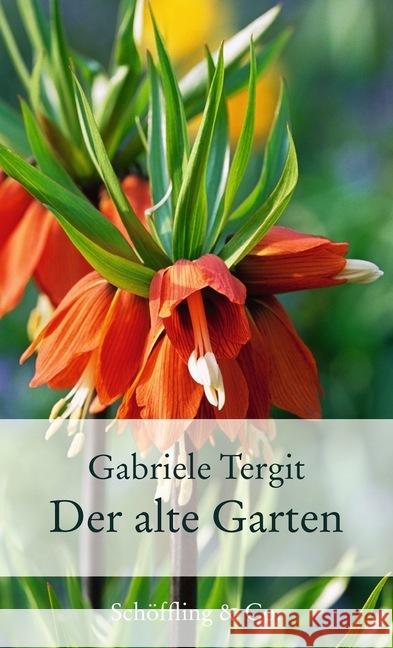 Der alte Garten : Geschichten von Blumen und Gärten Tergit, Gabriele 9783895615887 Schöffling