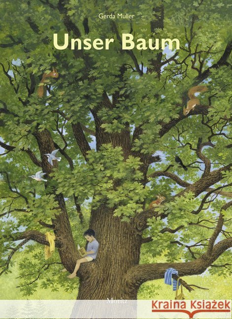 Unser Baum : Vom Leben einer alten Eiche Muller, Gerda 9783895653667 Moritz