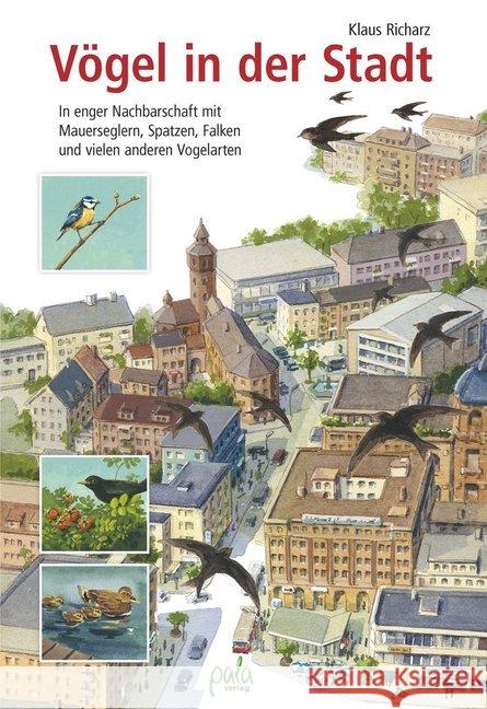 Vögel in der Stadt : In enger Nachbarschaft mit Mauerseglern, Spatzen, Falken und vielen anderen Vogelarten Richarz, Klaus 9783895663437 Pala-Verlag