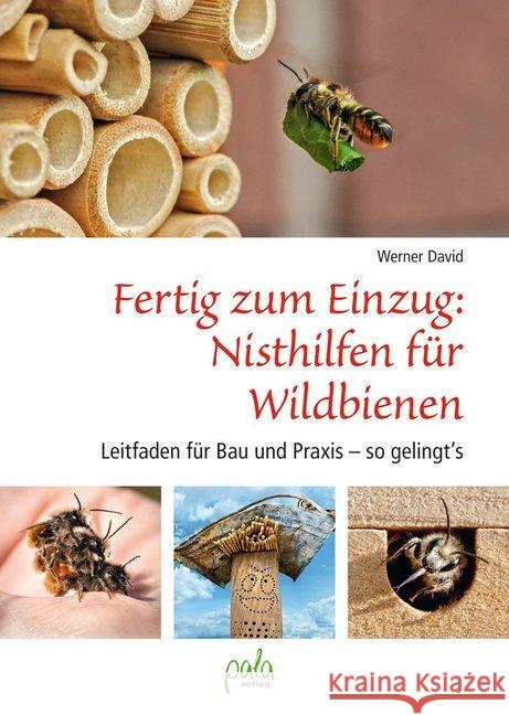 Fertig zum Einzug: Nisthilfen für Wildbienen : Leitfaden für Bau und Praxis - so gelingt`s David, Werner 9783895663581