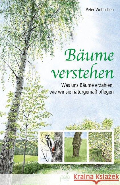 Bäume verstehen : Was uns Bäume erzählen, wie wir sie naturgemäß pflegen Wohlleben, Peter 9783895663659 Pala-Verlag