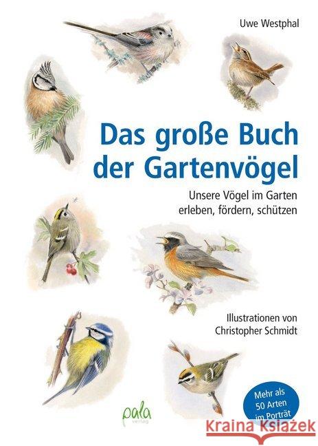 Das große Buch der Gartenvögel : Unsere Vögel im Garten erleben, fördern, schützen. Mehr als 50 Arten im Porträt Westphal, Uwe 9783895663758 Pala-Verlag