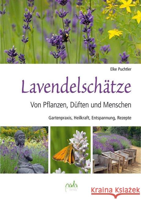 Lavendelschätze : Von Pflanzen, Düften und Menschen. Gartenpraxis, Heilkraft, Entspannung, Rezepte Puchtler, Elke 9783895663772