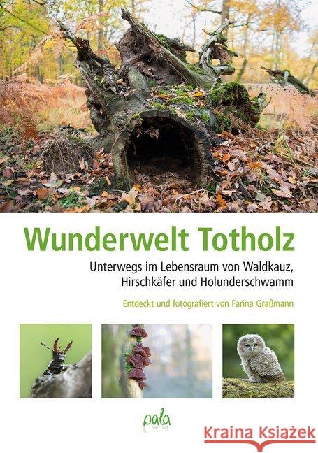 Wunderwelt Totholz : Unterwegs im Lebensraum von Waldkauz, Hirschkäfer und Holunderschwamm Graßmann, Farina 9783895664014