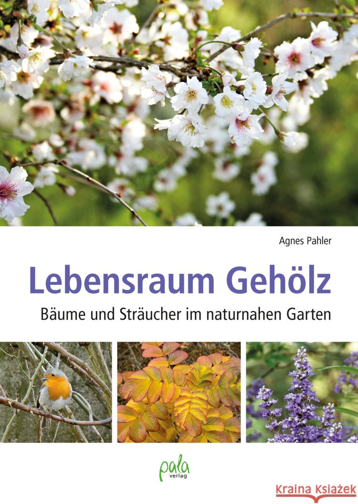 Lebensraum Gehölz Pahler, Agnes 9783895664182 Pala-Verlag