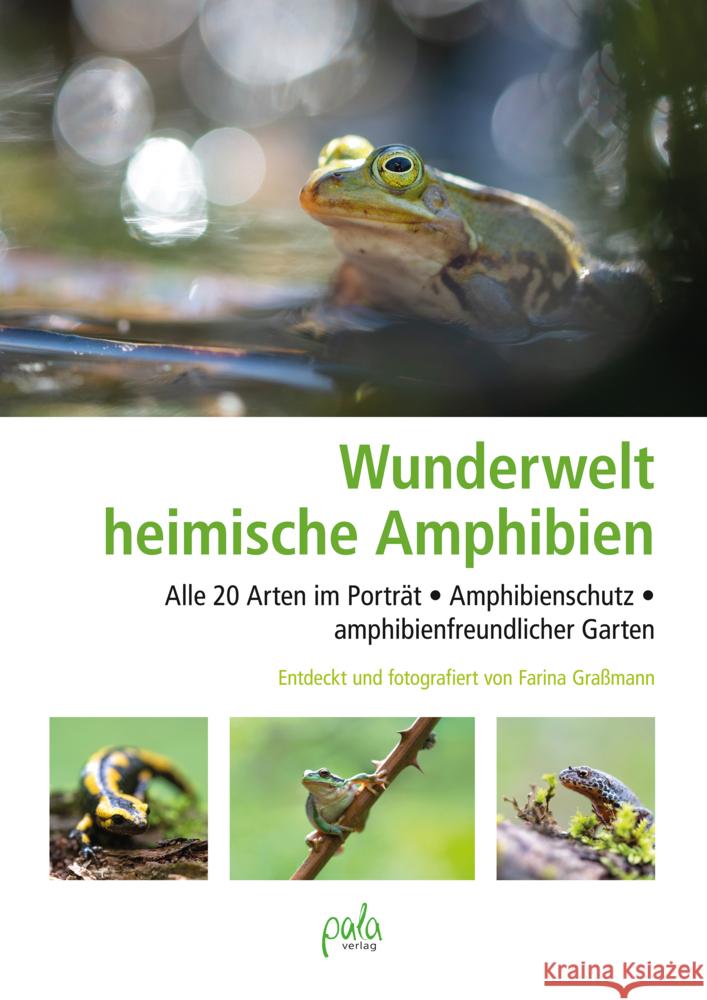 Wunderwelt heimische Amphibien Graßmann, Farina 9783895664199