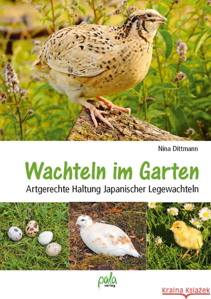Wachteln im Garten Dittmann, Nina 9783895664434