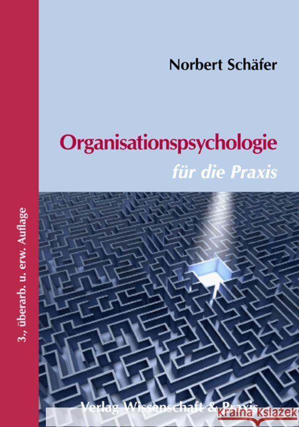 Organisationspsychologie Fur Die Praxis: Mit Erlauterungen Zur Personalauswahl Nach Din 3343 Schafer, Norbert 9783896735461