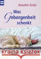 Was Geborgenheit schenkt Grün, Anselm 9783896808080 Vier Türme