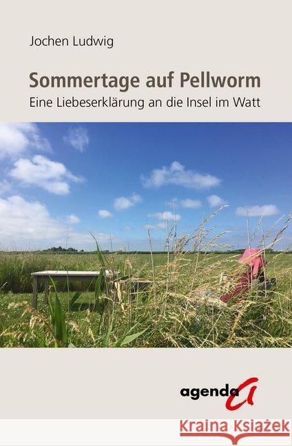 Sommertage auf Pellworm Ludwig, Jochen 9783896886774
