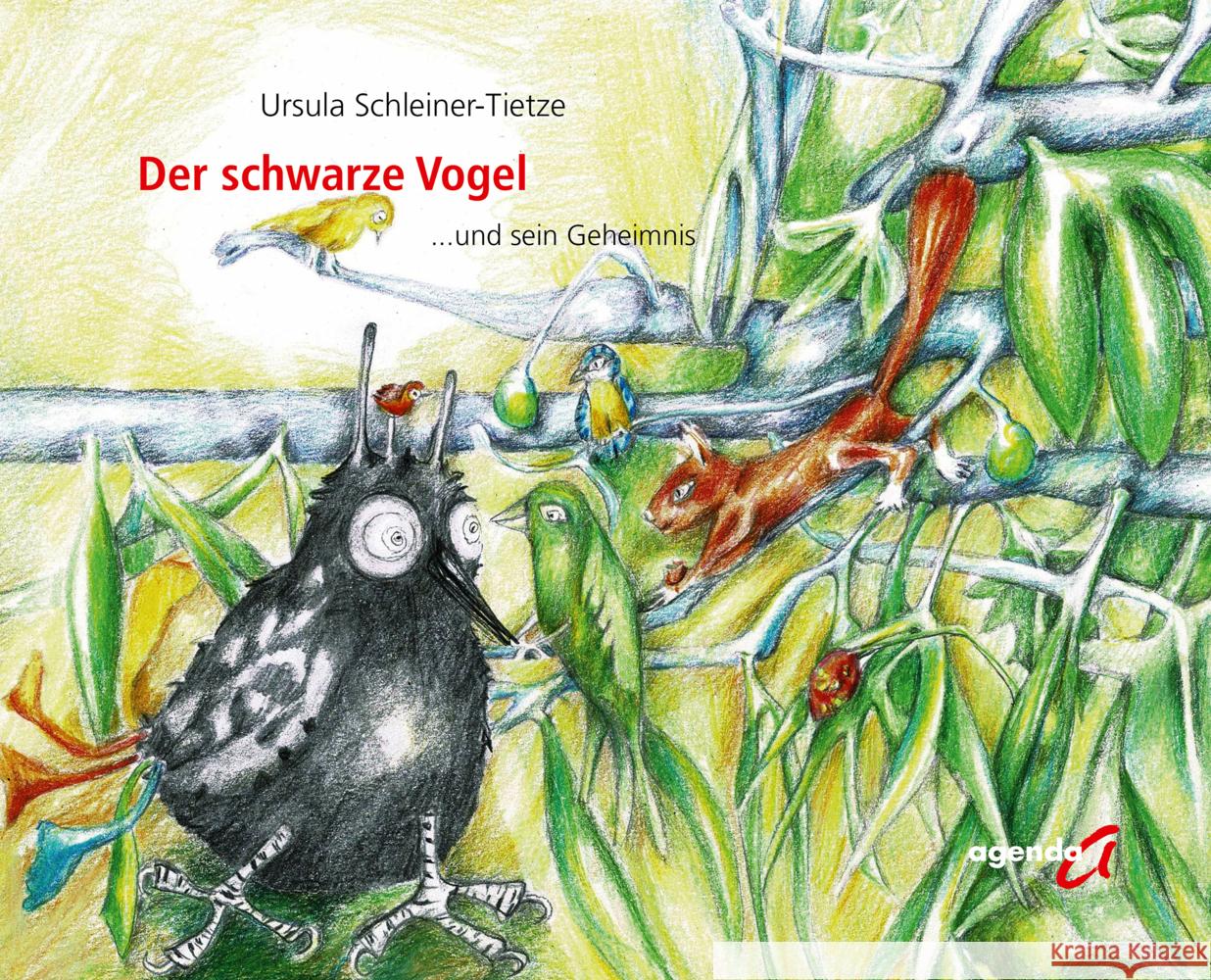 Der schwarze Vogel und sein Geheimnis Schleiner-Tietze, Ursula 9783896887429 agenda Verlag