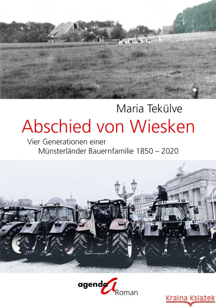 Abschied von Wiesken Tekülve, Maria 9783896888778 agenda Verlag