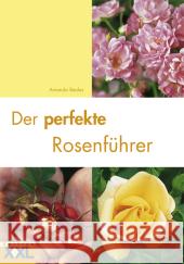 Der perfekte Rosenführer Beales, Amanda   9783897362550 Edition XXL