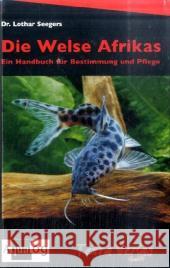 Die Welse Afrikas : Ein Handbuch für Bestimmung und Pflege Seegers, Lothar   9783897451919