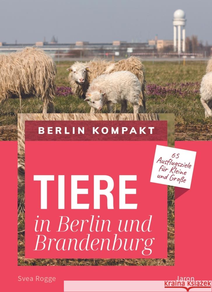 Tiere in Berlin und Brandenburg Rogge, Svea 9783897734456