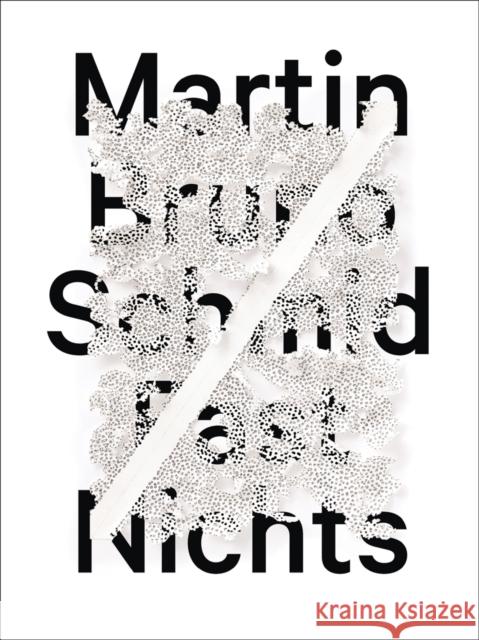 Martin Bruno Schmid: Almost Nothing - Fast Nichts Gallery Schwarz Greifswald 9783897906570 Arnoldsche