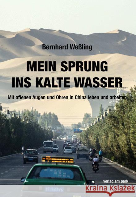 Mein Sprung ins kalte Wasser Weßling, Bernhard 9783897933767 Verlag am Park