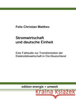 Stromwirtschaft und deutsche Einheit Felix Christian Matthes 9783898118064