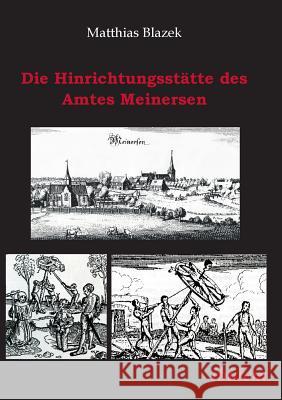 Die Hinrichtungsstätte des Amtes Meinersen. Eine Quellensammlung Blazek, Matthias 9783898219570