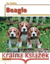 Beagle Eberhardt, Jochen H.   9783898600828 Bede