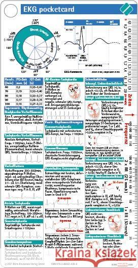 EKG pocketcard Börm Bruckmeier Verlag GmbH 9783898624299 Börm Bruckmeier