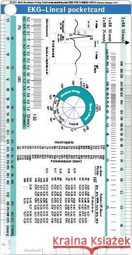 EKG-Lineal pocketcard Börm Bruckmeier Verlag GmbH 9783898624305 Börm Bruckmeier