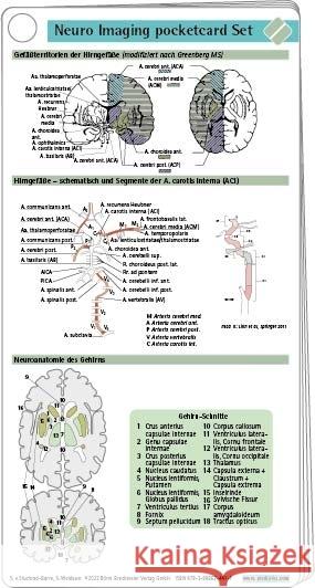 Neuro Imaging pocketcard Set Stuckrad-Barre, Sebastian von, Weidauer, Stefan 9783898624411 Börm Bruckmeier