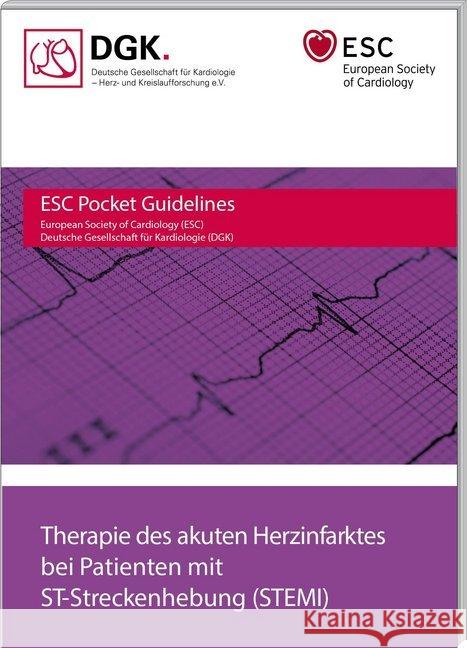 Therapie des akuten Herzinfarktes bei Patienten mit ST-Streckenhebung (STEMI)  9783898629799 Börm Bruckmeier