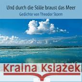 Und durch die Stille braust das Meer : Gedichte Fontane, Theodor Pump, Günter  9783898765572 Husum