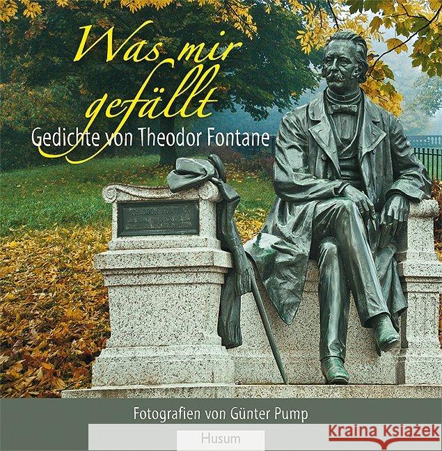 Was mir gefällt : Gedichte Fontane, Theodor 9783898766142 Husum