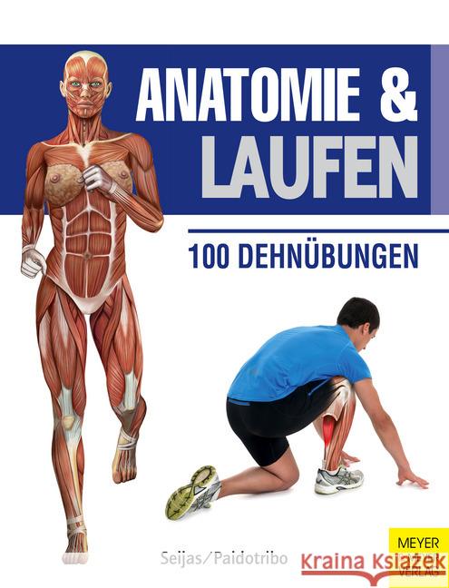 Anatomie & Laufen : 100 Dehnübungen Seijas, Guillermo 9783898999403