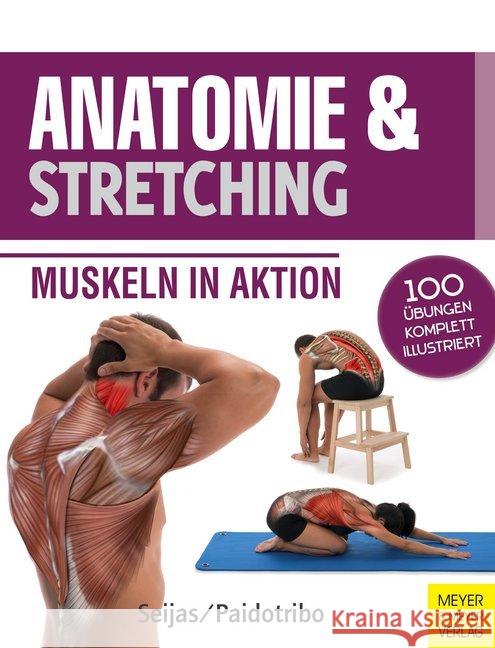 Anatomie & Stretching : Muskeln in Aktion. 100 Übungen komplett illustriert Seijas, Guillermo 9783898999878