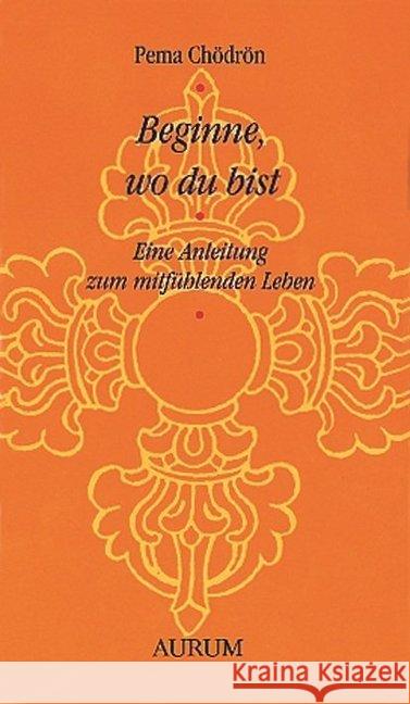 Beginne, wo du bist : Eine Anleitung zum mitfühlenden Leben Chödrön, Pema   9783899013740 Aurum im Kamphausen Verlag